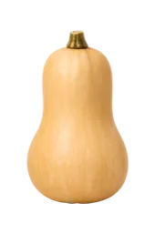 バターナッツかぼちゃ