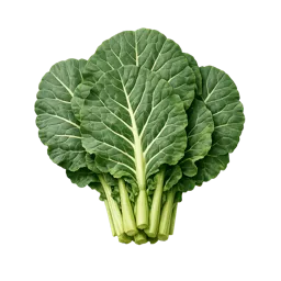 コラードグリーン