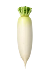 大根