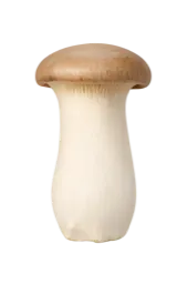 エリンギ