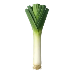 リーク（ポロねぎ）