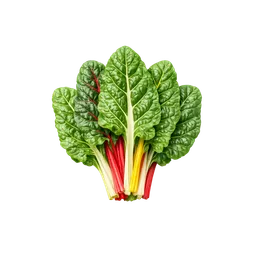 スイスチャード